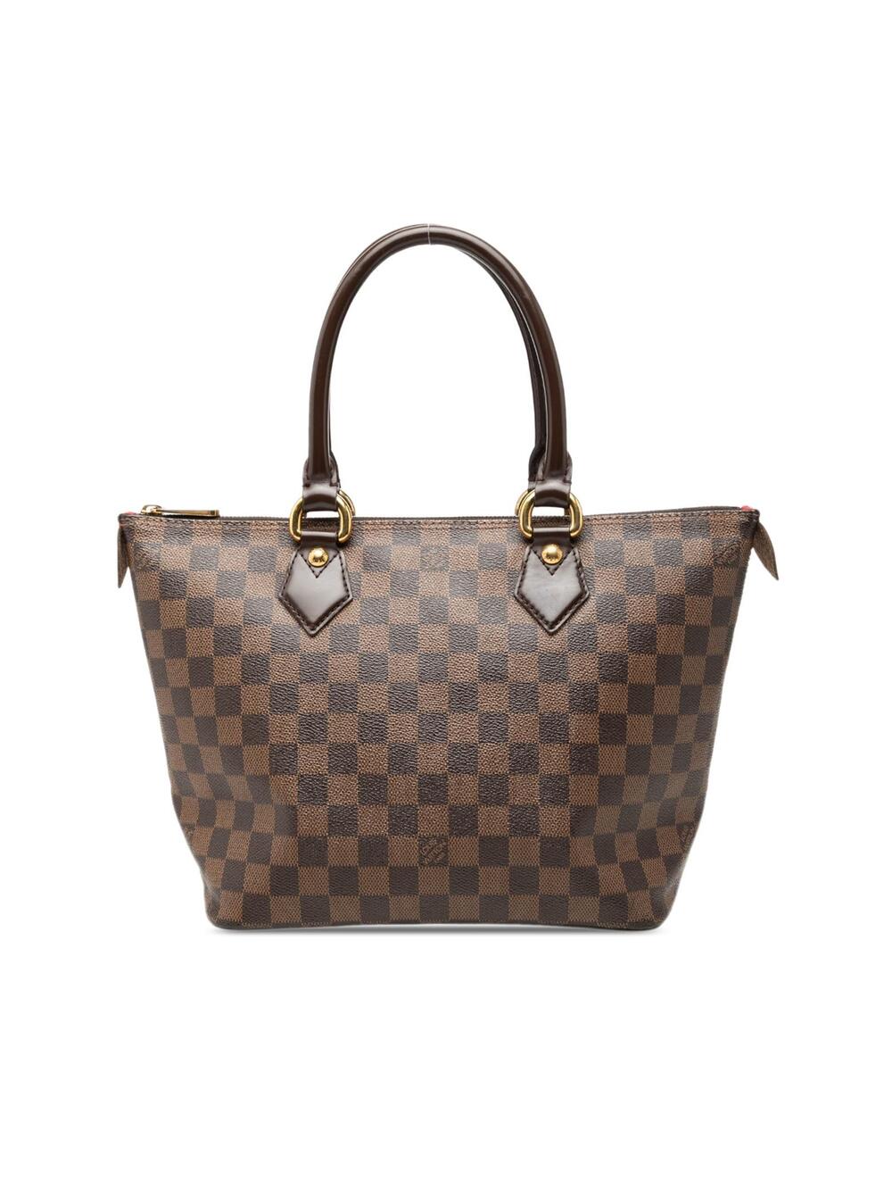 Louis Vuitton Damier Ebene Saleya Pm #343421L88B